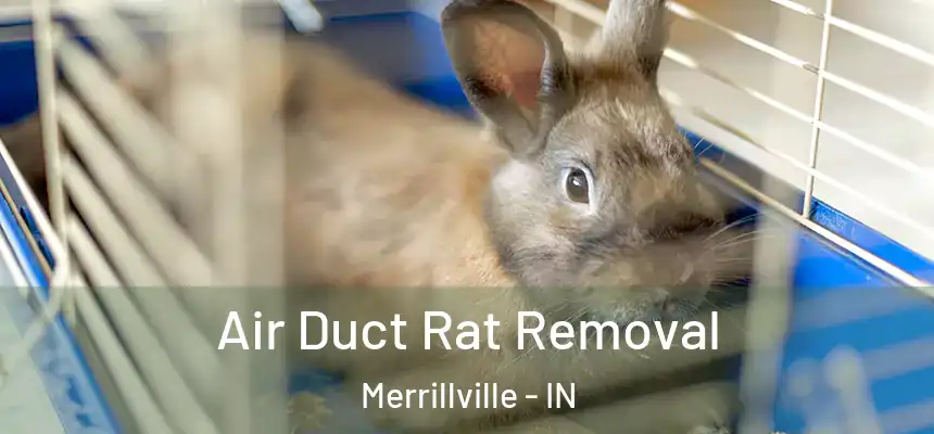  Air Duct Rat Removal Merrillville - IN