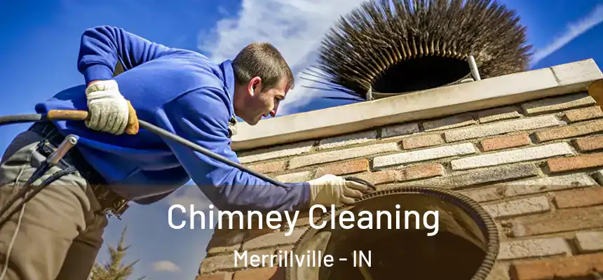 Chimney Cleaning Merrillville - IN