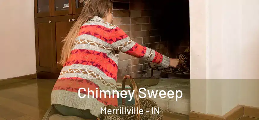 Chimney Sweep Merrillville - IN