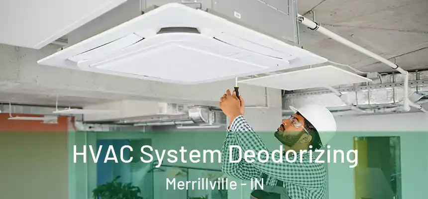 HVAC System Deodorizing Merrillville - IN