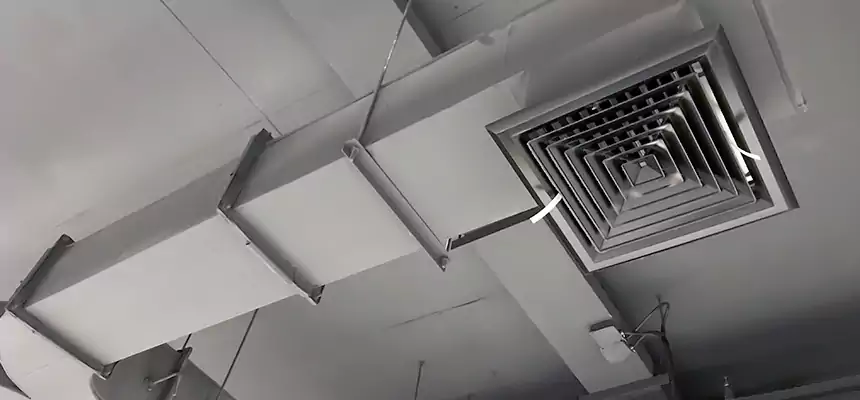 Restorative Allergy Relief Vent Cleaning – Coil, Blower & Housing Detail in Merrillville