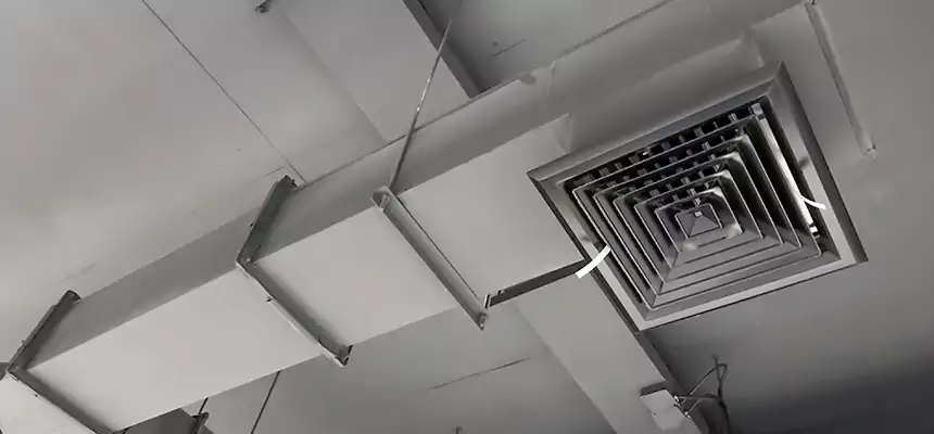 Our Rodent Droppings In Vents Services in Merrillville, IN