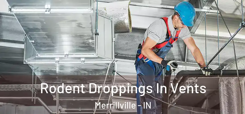  Rodent Droppings In Vents Merrillville - IN