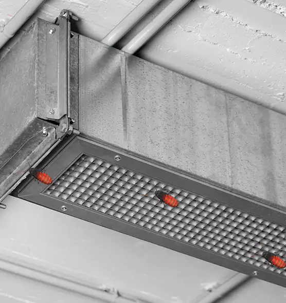 About Air Duct Cockroach Removal in Merrillville, IN