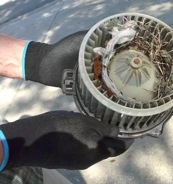 About Air Duct Mice Removal in Merrillville, IN