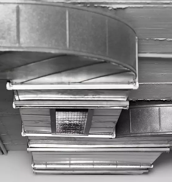 Professional Air Duct Pest Removal in Merrillville, IN