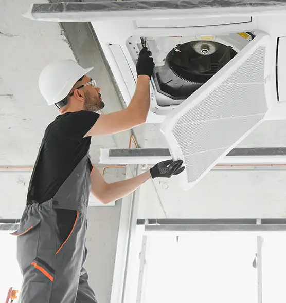 About Air Duct Rodent Removal in Merrillville, IN