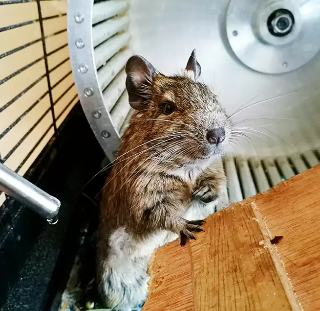 Why Homeowners & Businesses Trust Us Merrillville, IN?